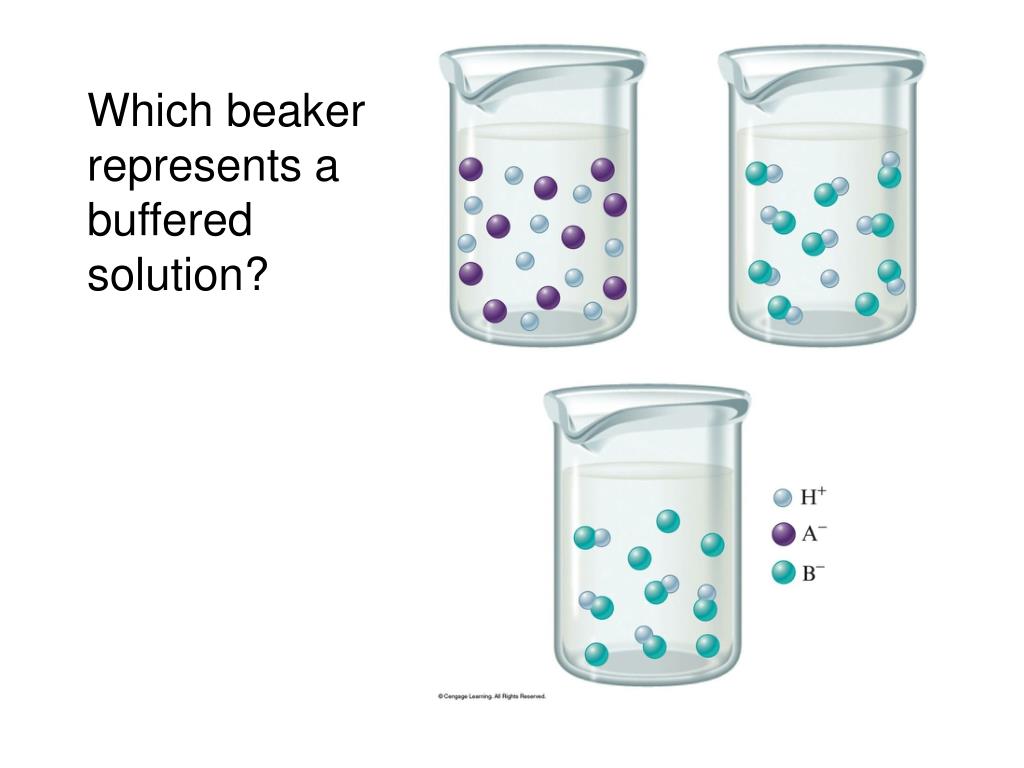 PPT Which beaker represents a buffered solution? PowerPoint