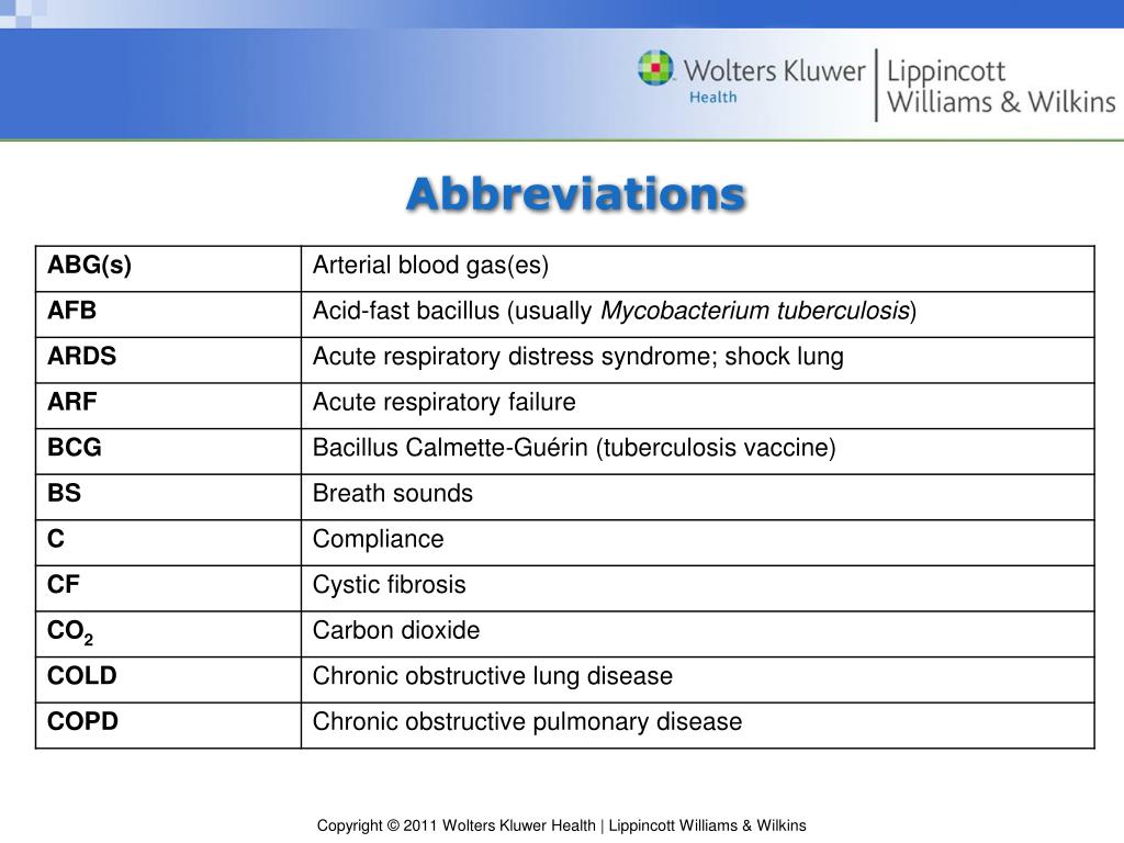 PPT Chapter 11 The Respiratory System PowerPoint Presentation, free download ID4345870