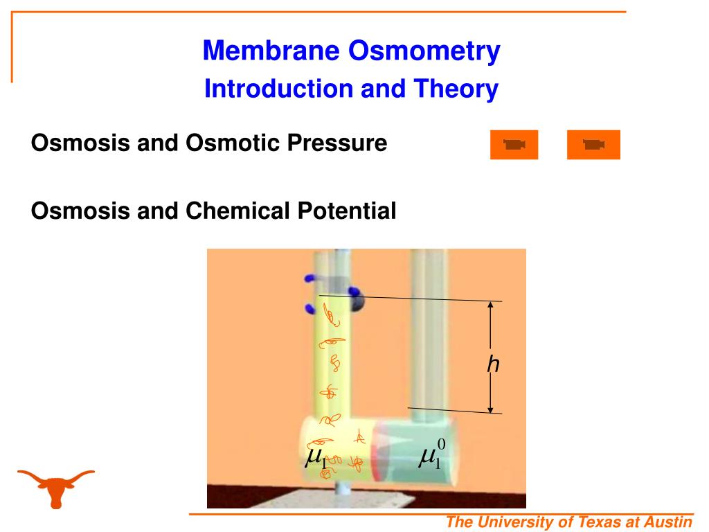 PPT Molecular Weight and polymer properties Methods Used to determine