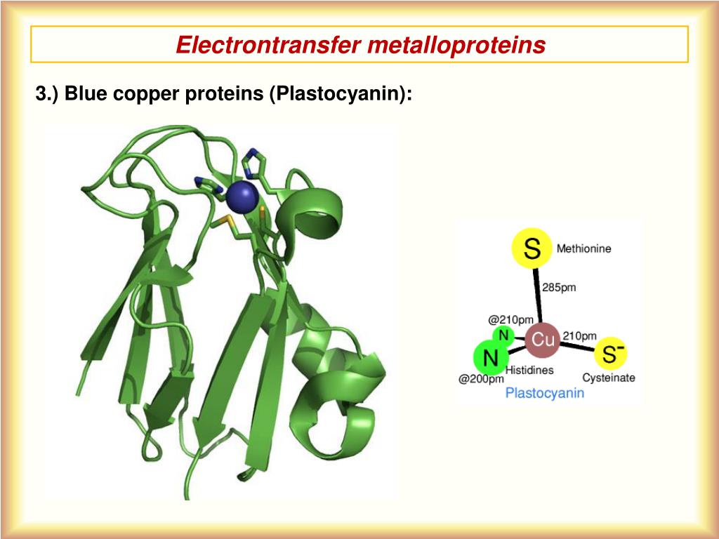 PPT The role of metal ions in photosynthesis PowerPoint Presentation