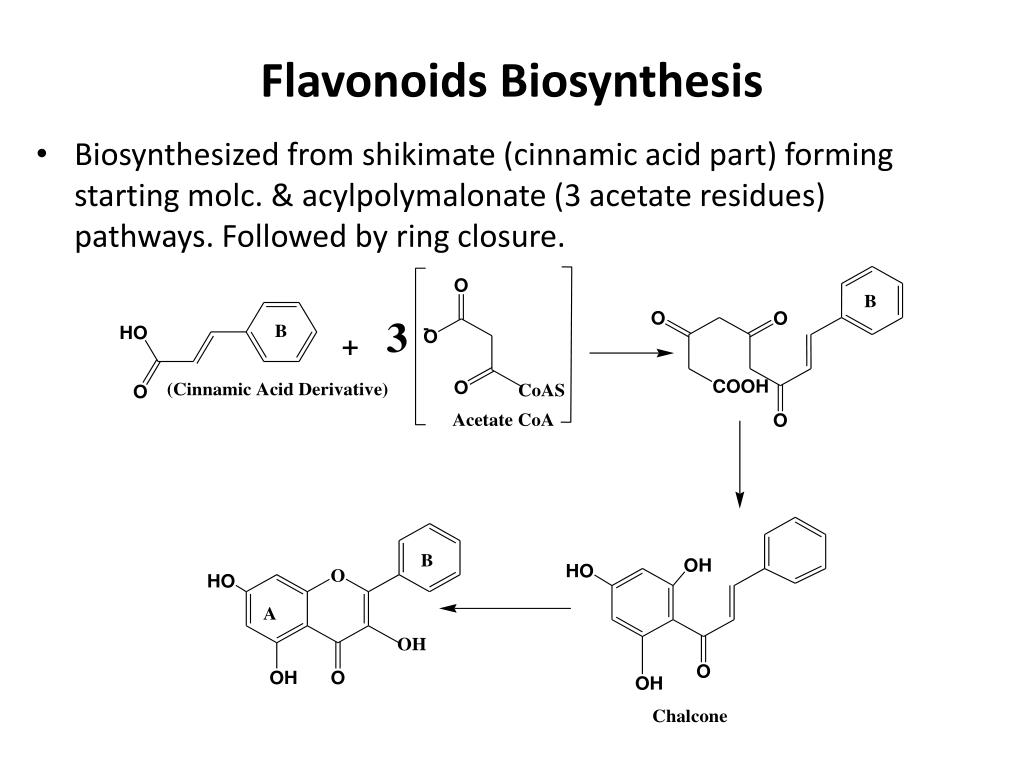 PPT Flavonoids PowerPoint Presentation, free download ID4354571