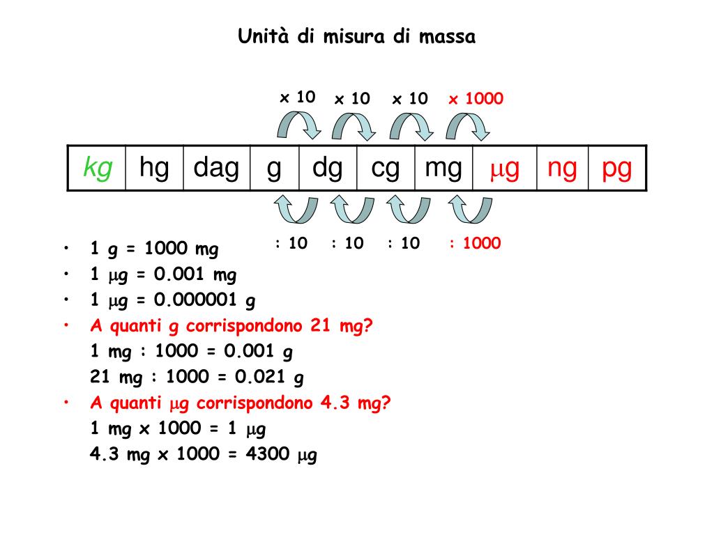 1 Mg Quanti Kg Sono salcevedo