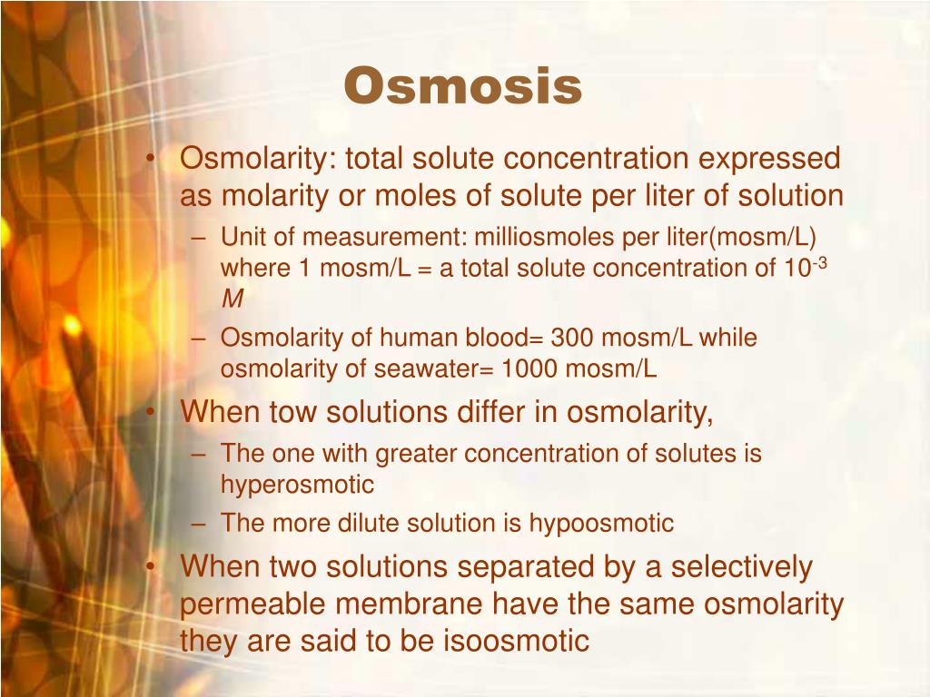 PPT Homeostasis and Excretion PowerPoint Presentation, free download