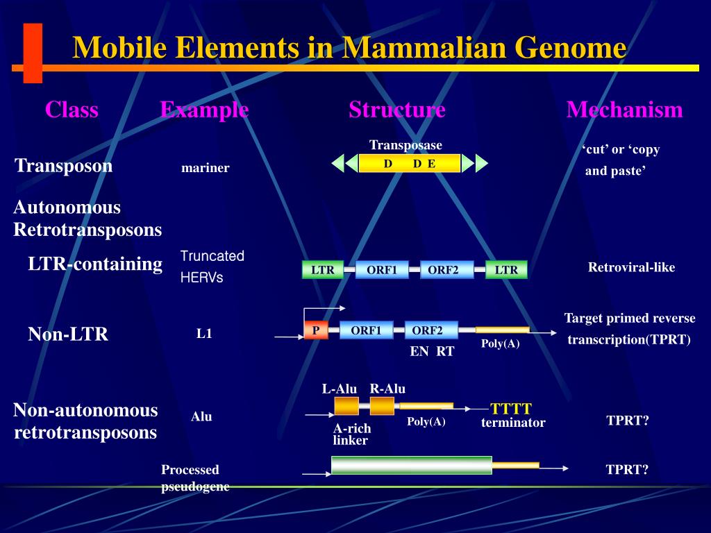 PPT Mobile Element PowerPoint Presentation, free download