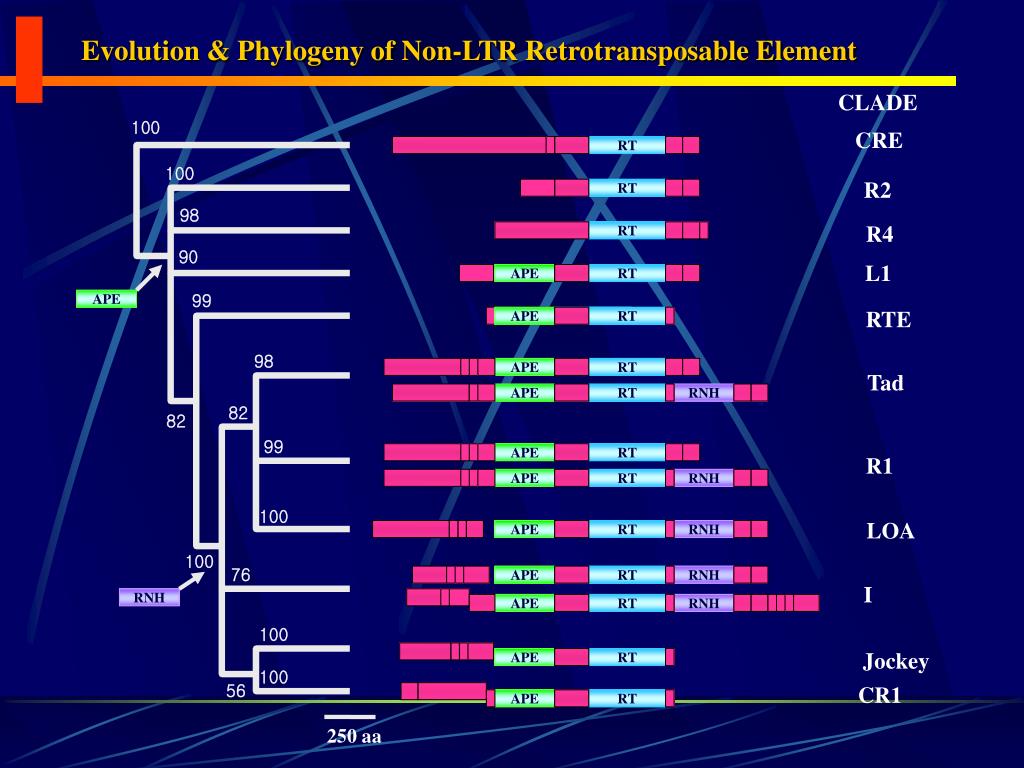 PPT Mobile Element PowerPoint Presentation, free download