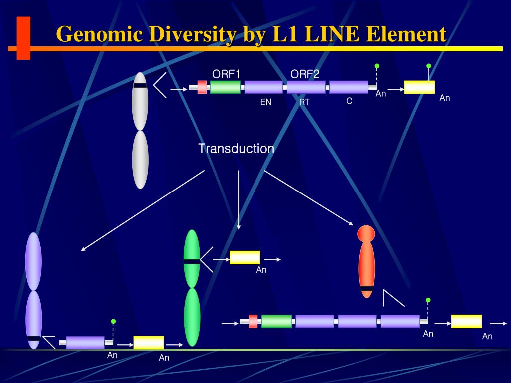 PPT Mobile Element PowerPoint Presentation, free download