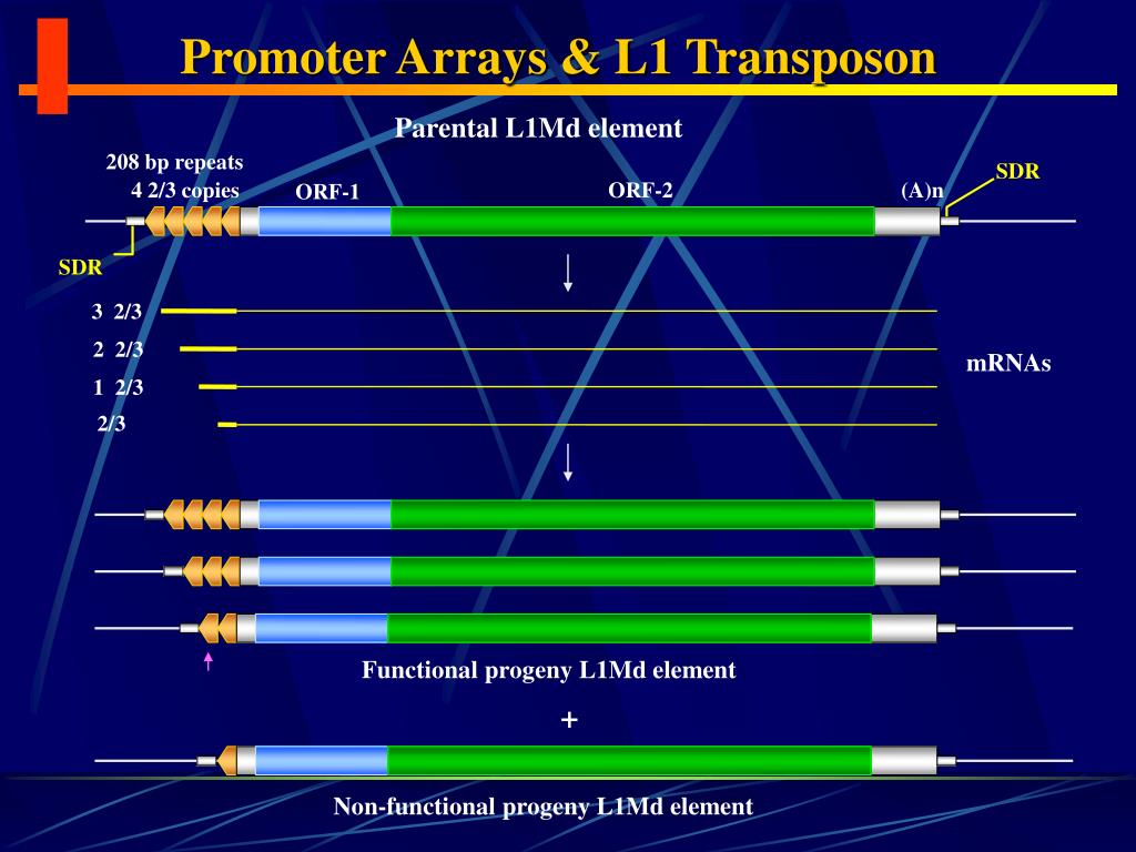 PPT Mobile Element PowerPoint Presentation, free download
