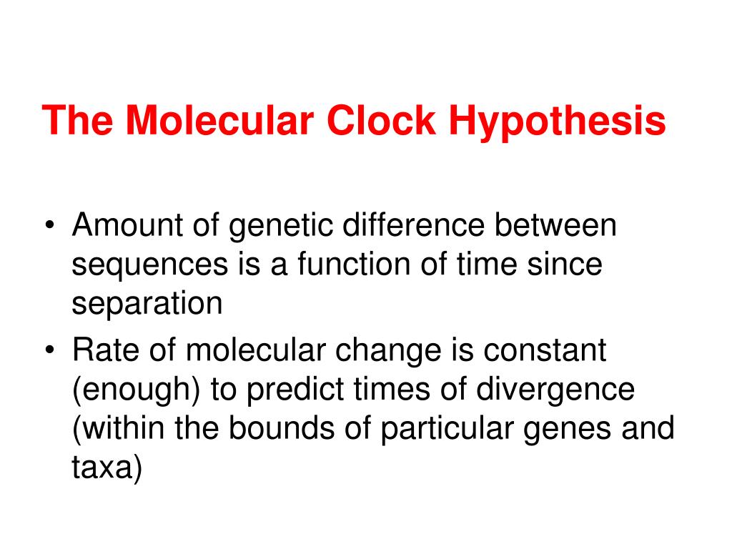 PPT Molecular Clocks PowerPoint Presentation, free download ID4363770