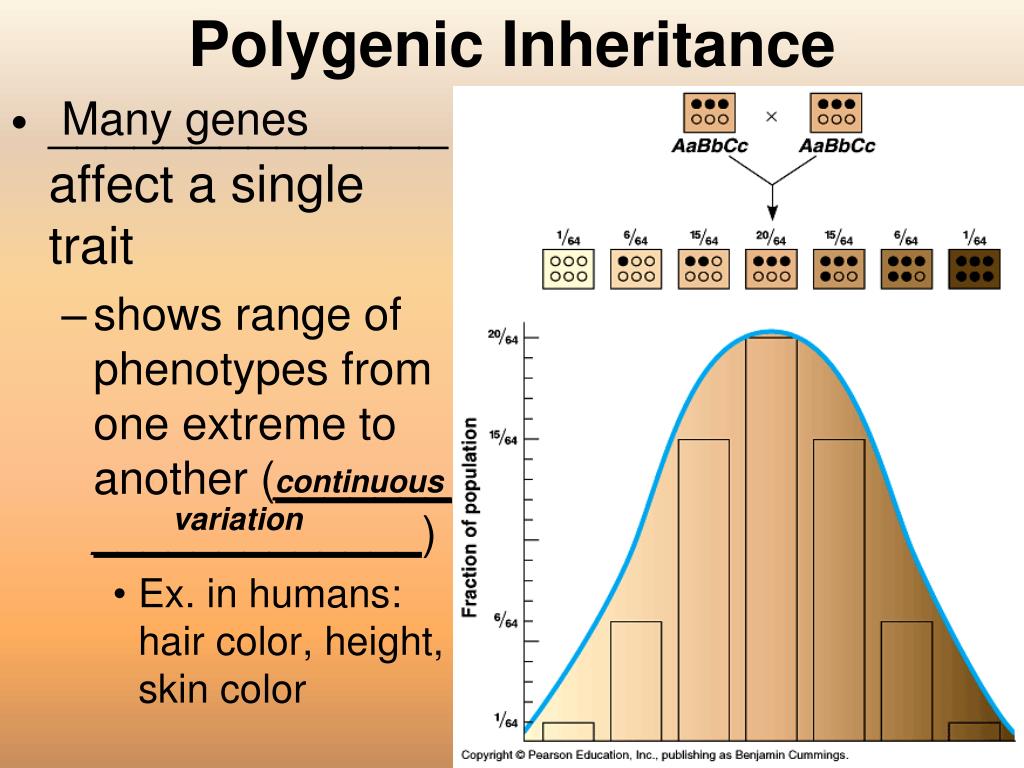 PPT Unit 6 & Heredity Ch 8 Heredity & Ch 11 Human