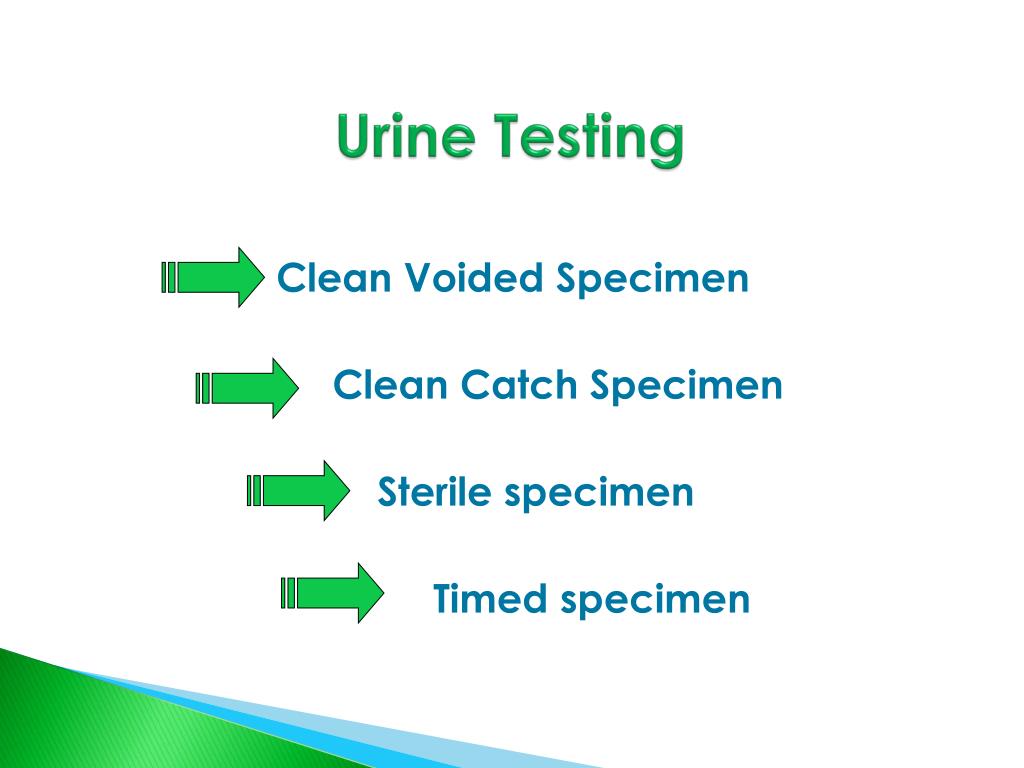 PPT Specimen Collection PowerPoint Presentation, free download ID4367449