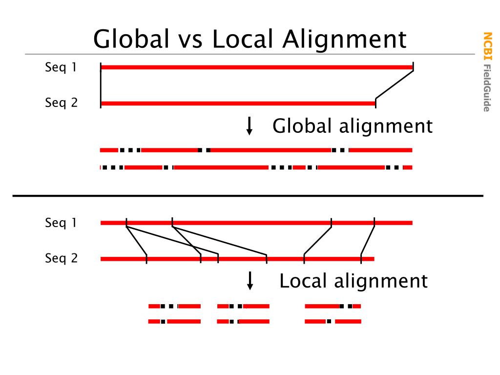 PPT NCBI Molecular Biology Resources PowerPoint Presentation, free