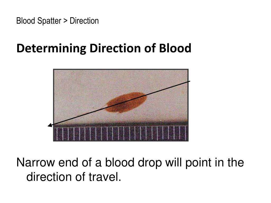 PPT Bloodstain Pattern Analysis PowerPoint Presentation, free