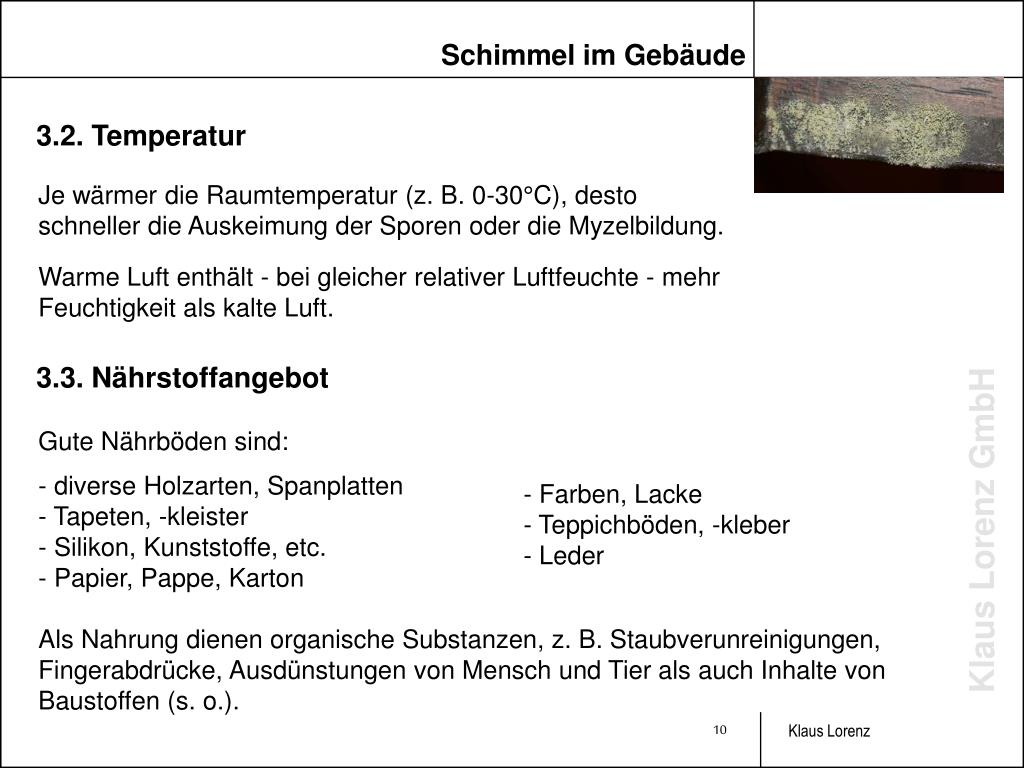 PPT Achtung! Schimmel im Gebäude Lorenz Asbest GmbH PowerPoint
