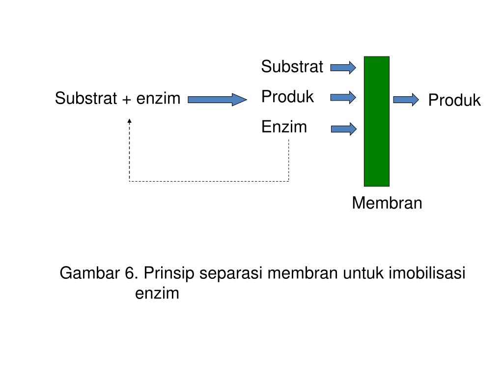PPT MEMBRANE TECHNOLOGY PowerPoint Presentation, free