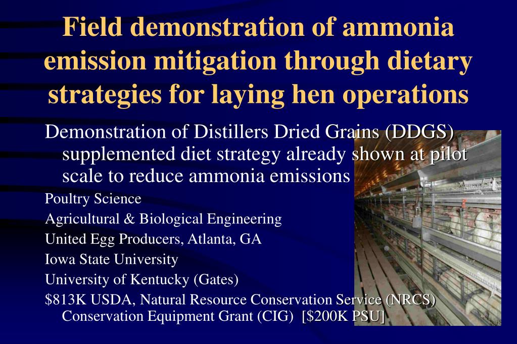 PPT Gas and Odor Emissions In Poultry Farms PowerPoint Presentation
