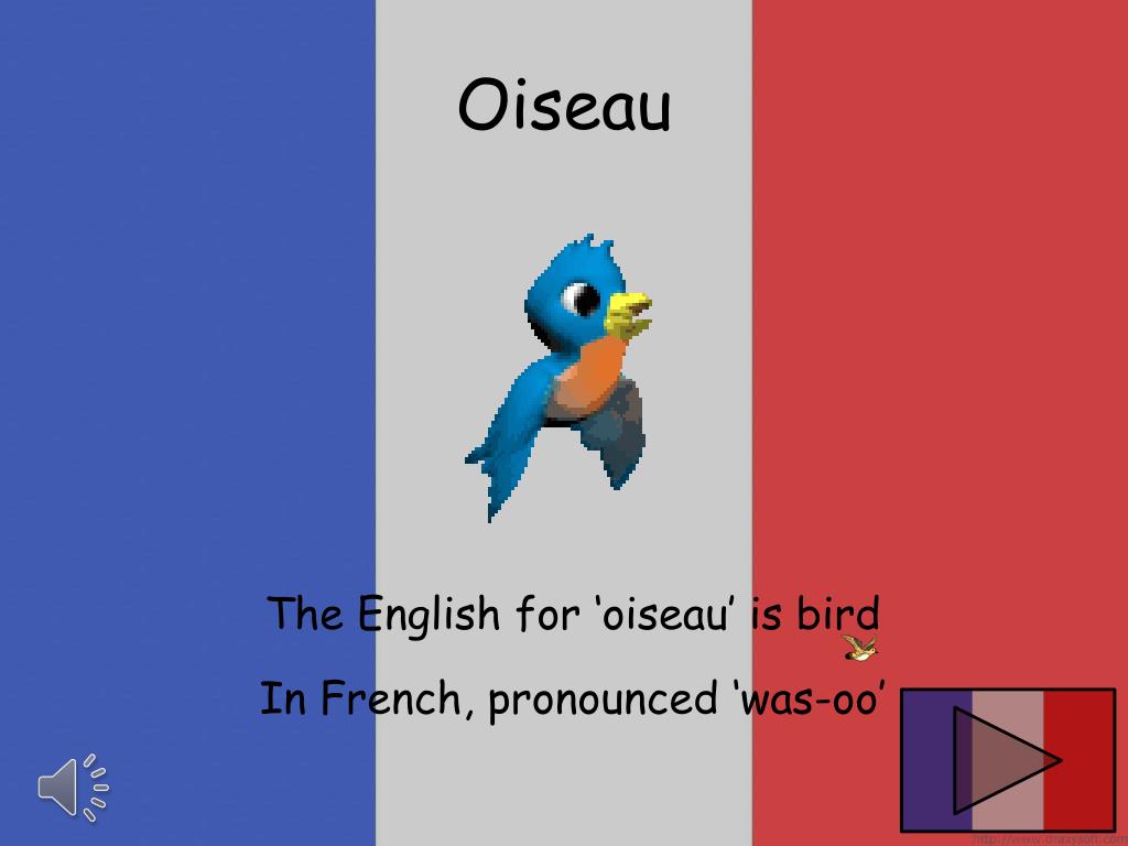 PPT French Words PowerPoint Presentation, free download ID4389063