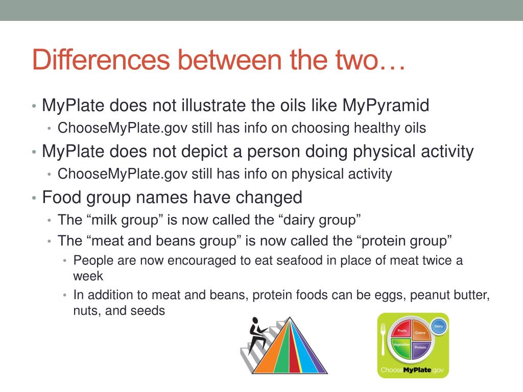 PPT From Pyramid to Plate PowerPoint Presentation, free download ID PPT From Pyramid to Plate PowerPoint Presentation, free download ID