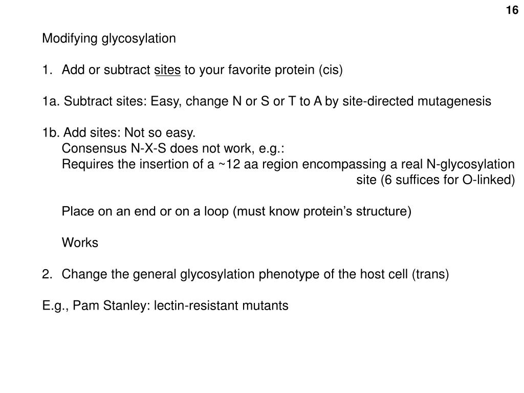PPT Protein glycosylation PowerPoint Presentation, free download ID4396473