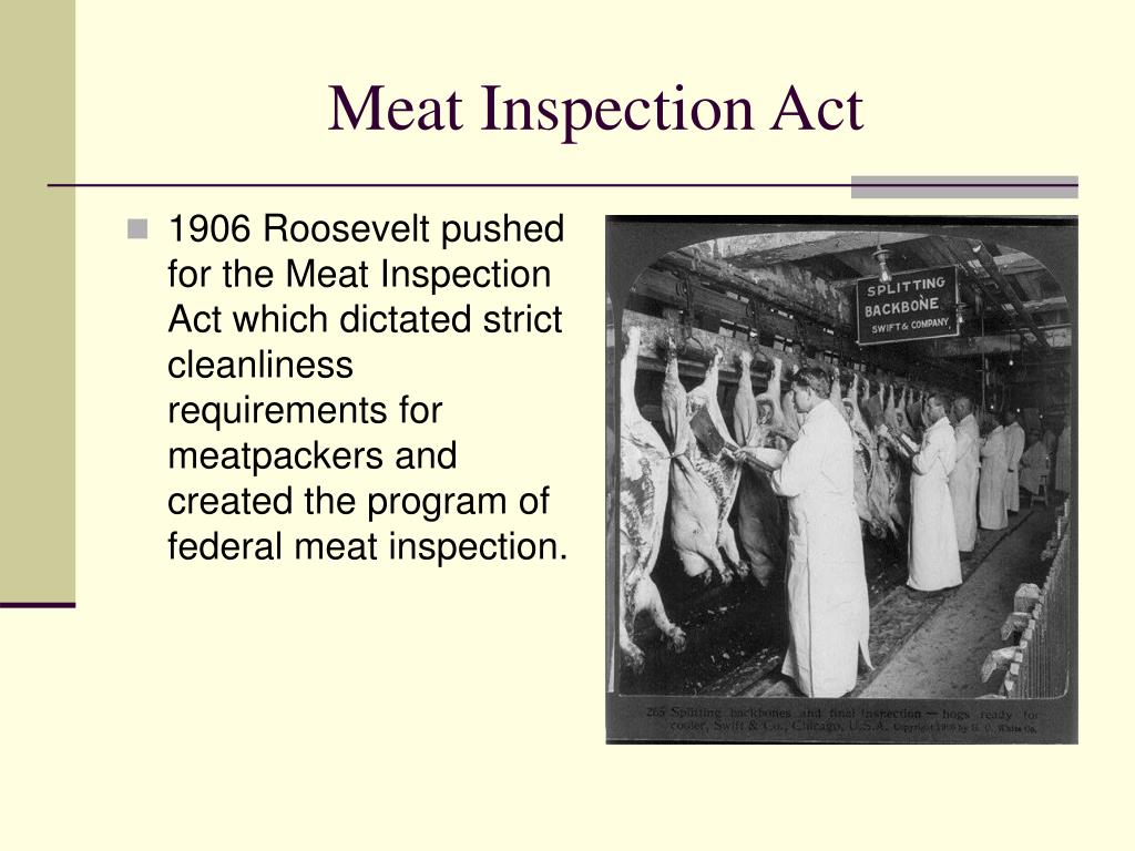 PPT The Progressive Era PowerPoint Presentation, free download ID