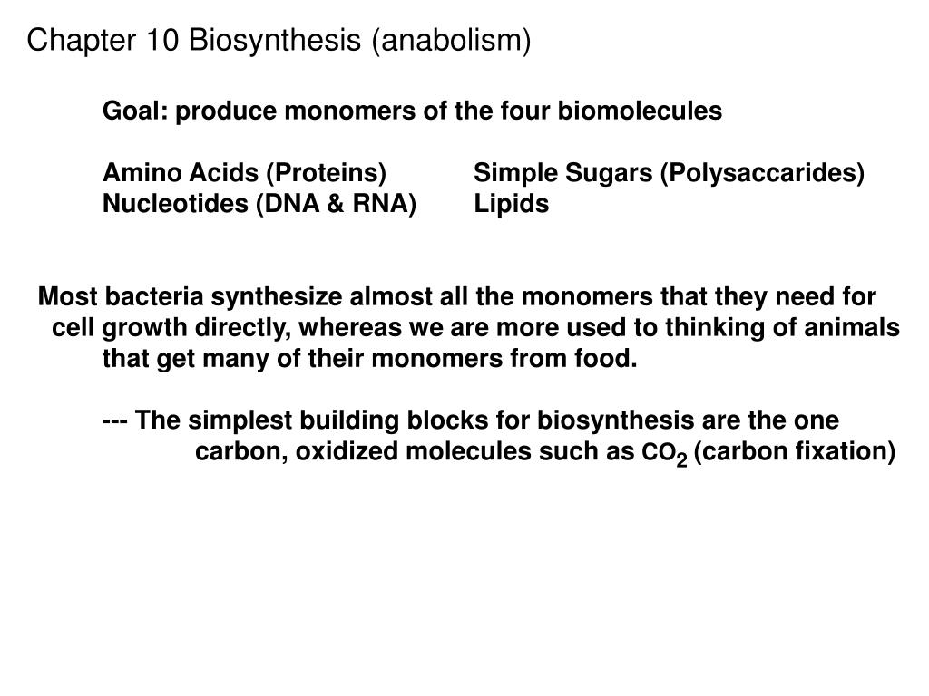 PPT Chapter 10 Biosynthesis (anabolism) Goal produce monomers of the