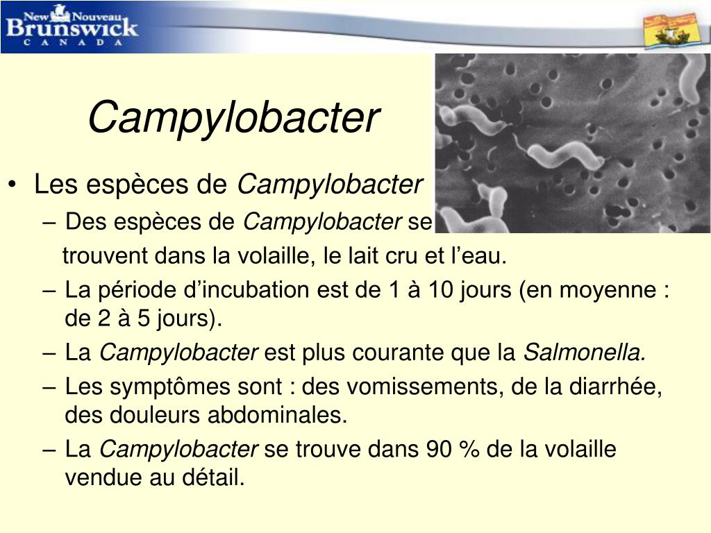 PPT Programme de formation à l'intention des manipulateurs d'aliments