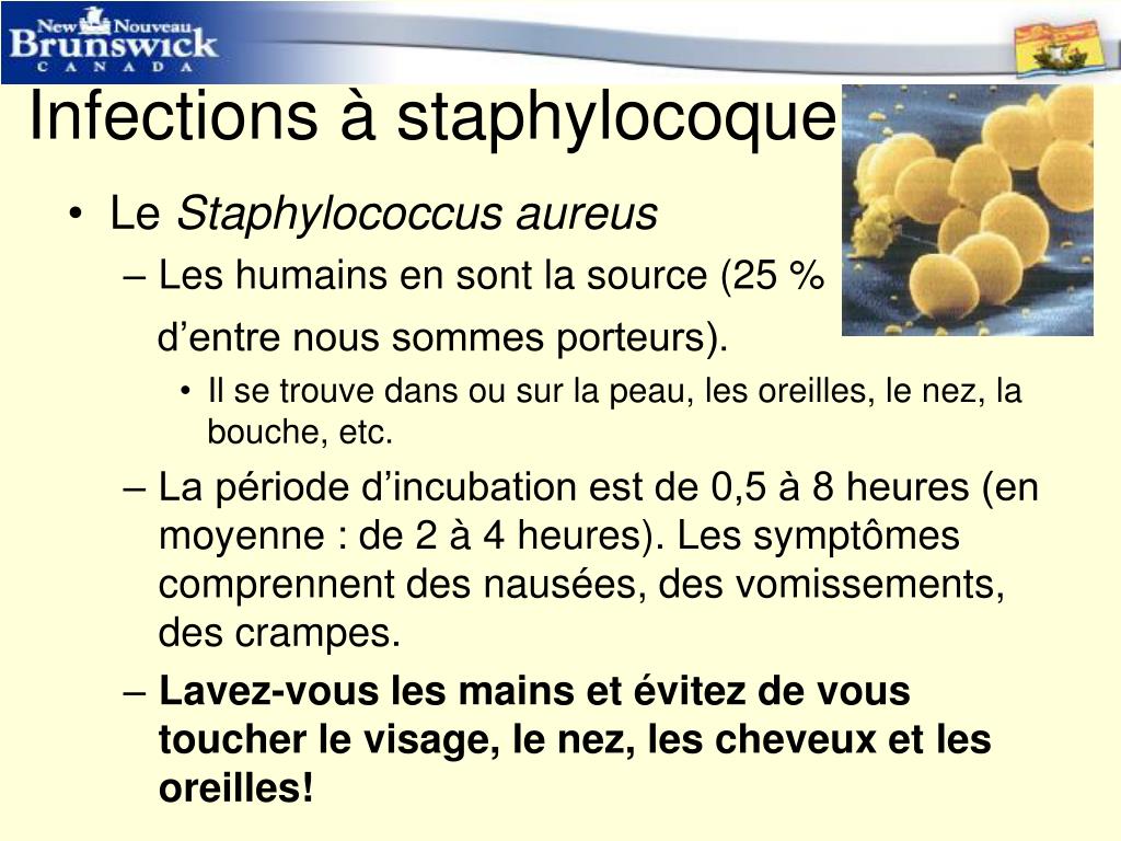 PPT Programme de formation à l'intention des manipulateurs d'aliments