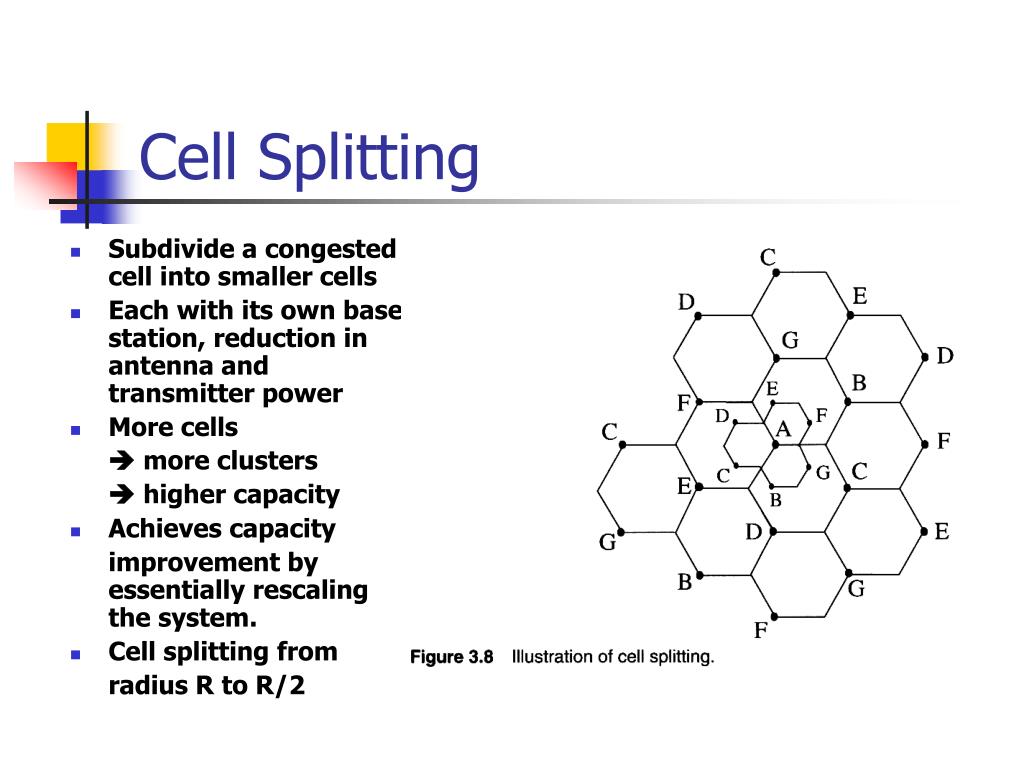 PPT Channel Assignment PowerPoint Presentation, free download ID4411042