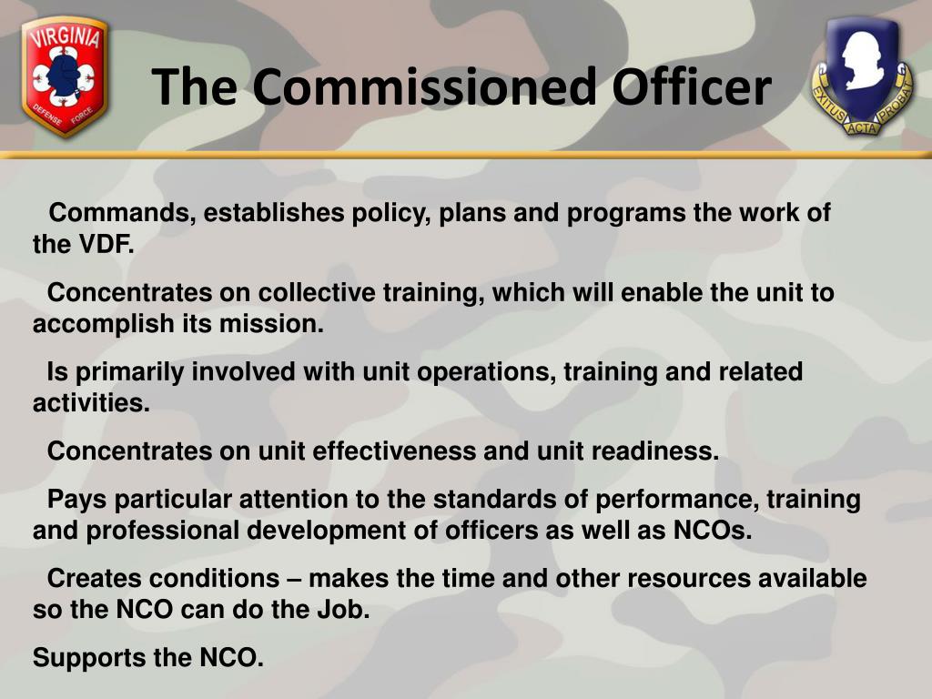 PPT Duties, Responsibilities and Authority of the NCO PowerPoint