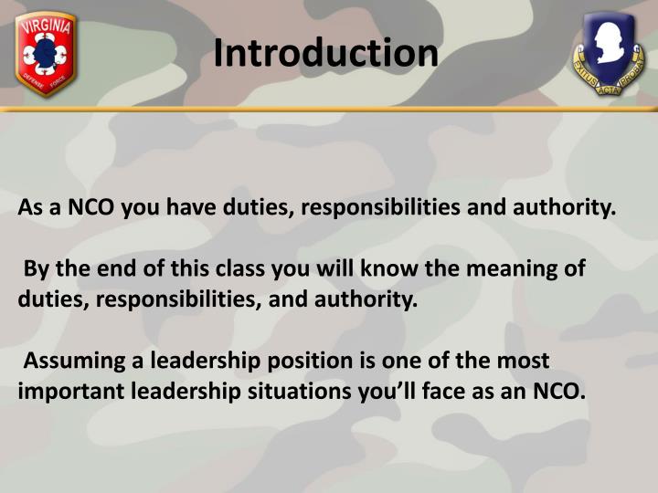 PPT Duties, Responsibilities and Authority of the NCO PowerPoint