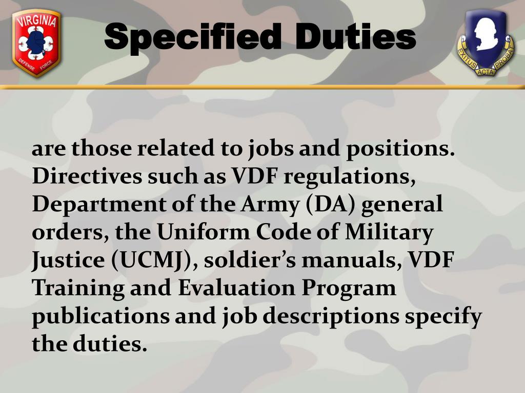 PPT Duties, Responsibilities and Authority of the NCO PowerPoint