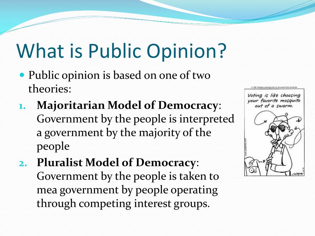 Opinionated Meaning