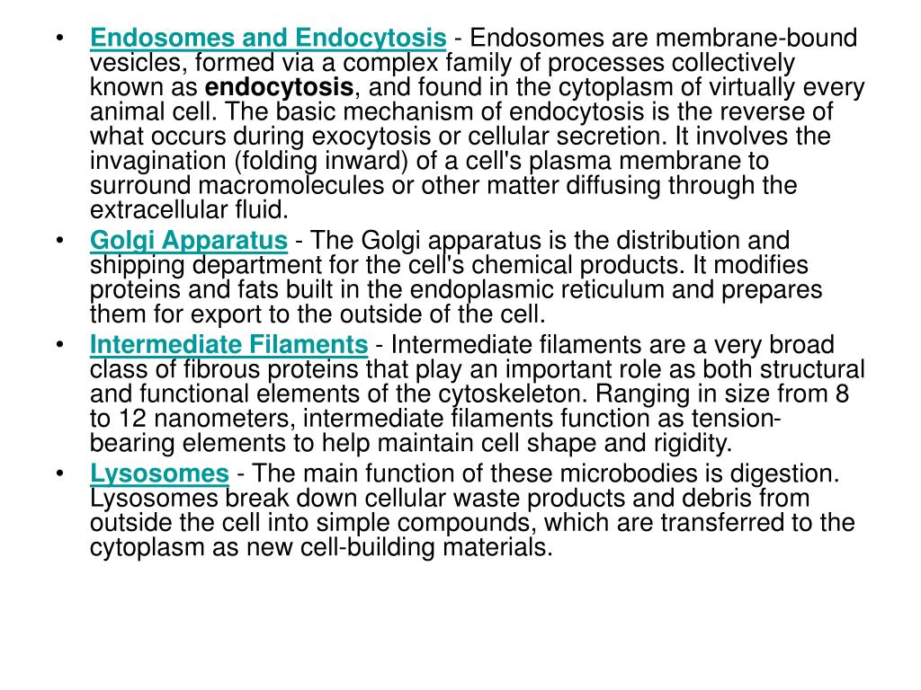 PPT Skin/Animal cells PowerPoint Presentation, free download ID4413916