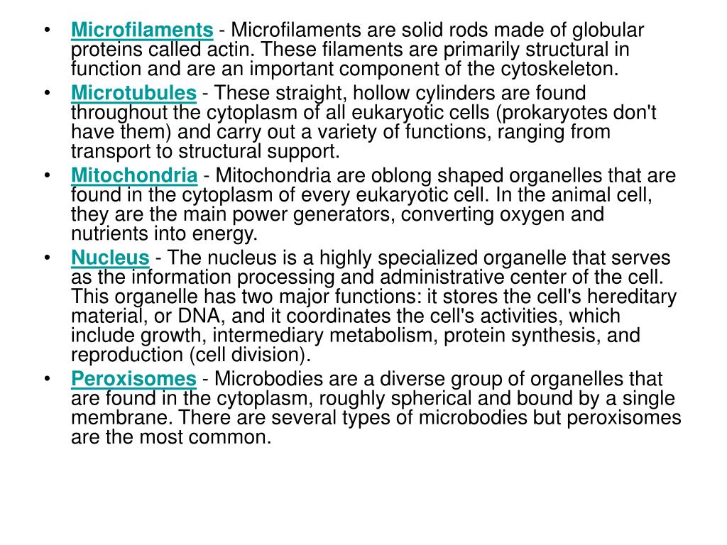PPT Skin/Animal cells PowerPoint Presentation, free download ID4413916