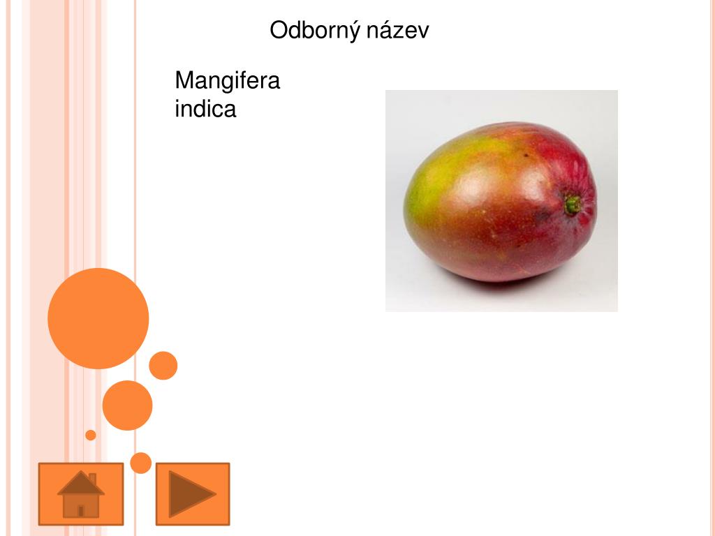 PPT Mango, Eva Krestová , KMD FreeDeK PowerPoint Presentation, free
