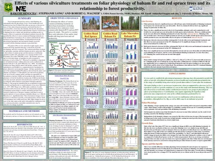 PPT Lake Macwahoc, International Paper PCT Site PowerPoint