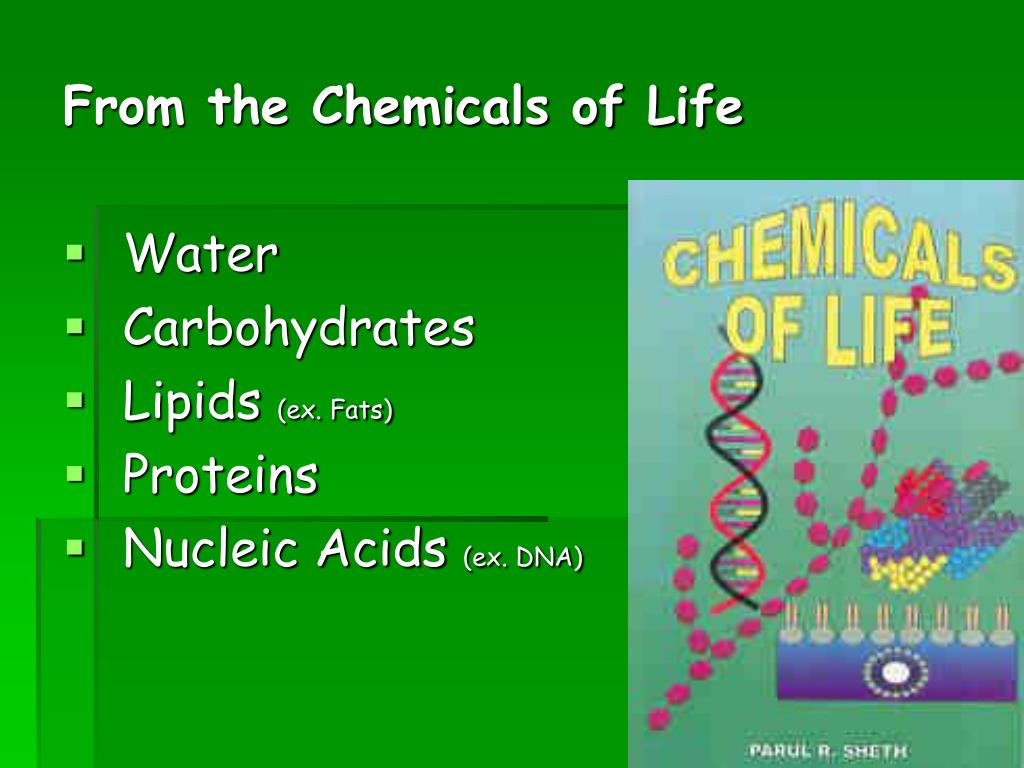 PPT Living Things PowerPoint Presentation, free download ID4423505