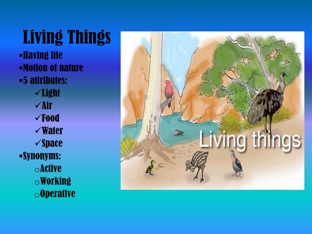 PPT How are living things different from nonliving things? PowerPoint