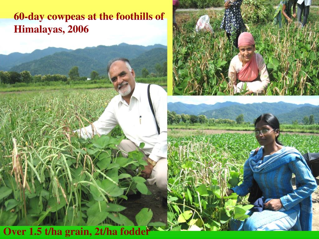 PPT Uttarakhand PowerPoint Presentation, free download