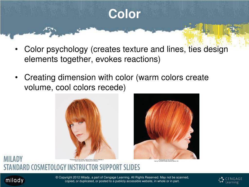 PPT Chapter 14 Principles of Hair Design PowerPoint Presentation