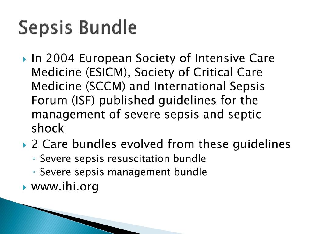 PPT “Care Bundles” PowerPoint Presentation, free download ID4433638