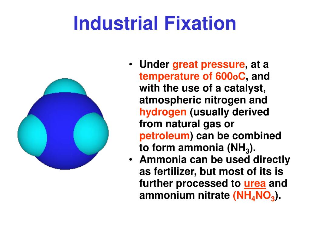 PPT NITROGEN FIXATION PowerPoint Presentation, free download ID4437387