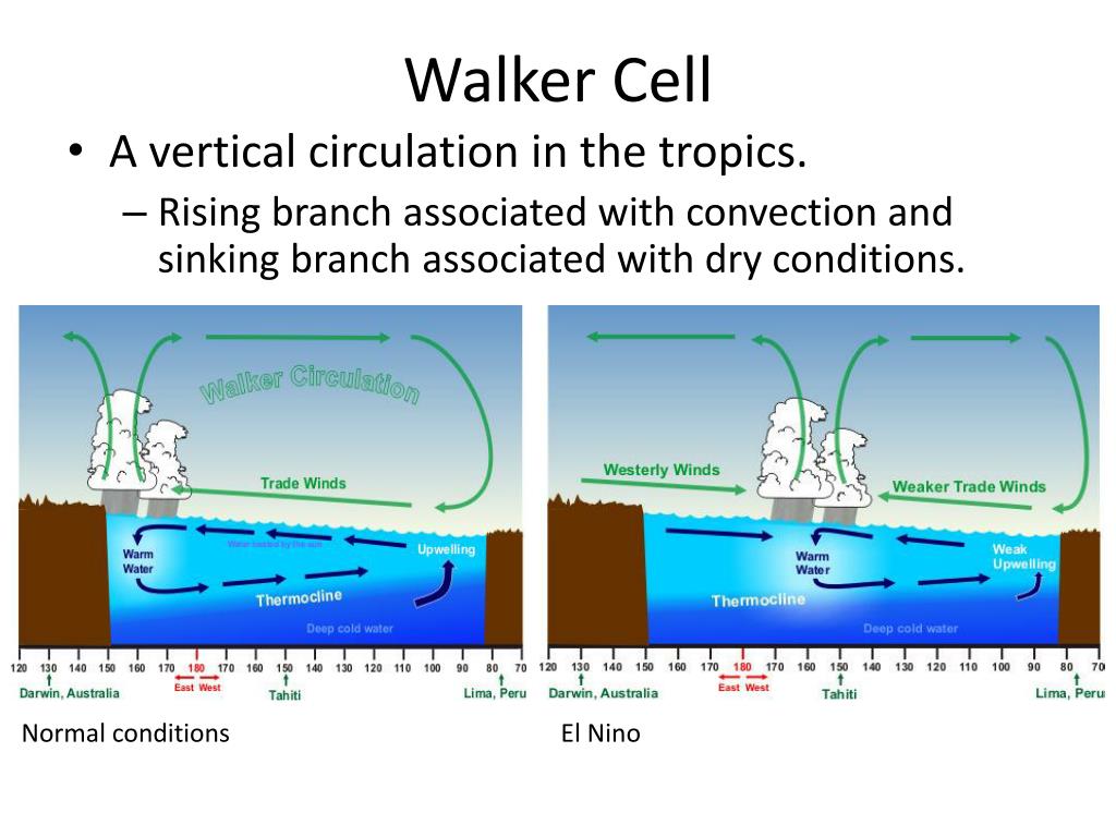 PPT El Nino, La Nina, and their Affects in Oklahoma PowerPoint