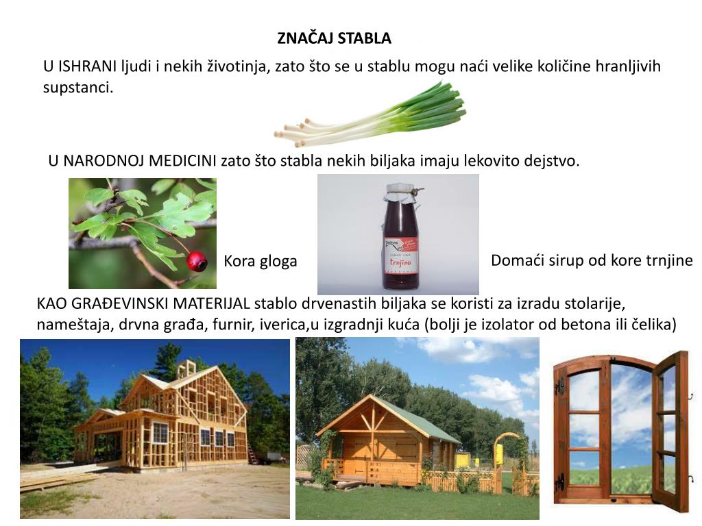 Ppt Stablo Powerpoint Presentation Free Download Id 4440496