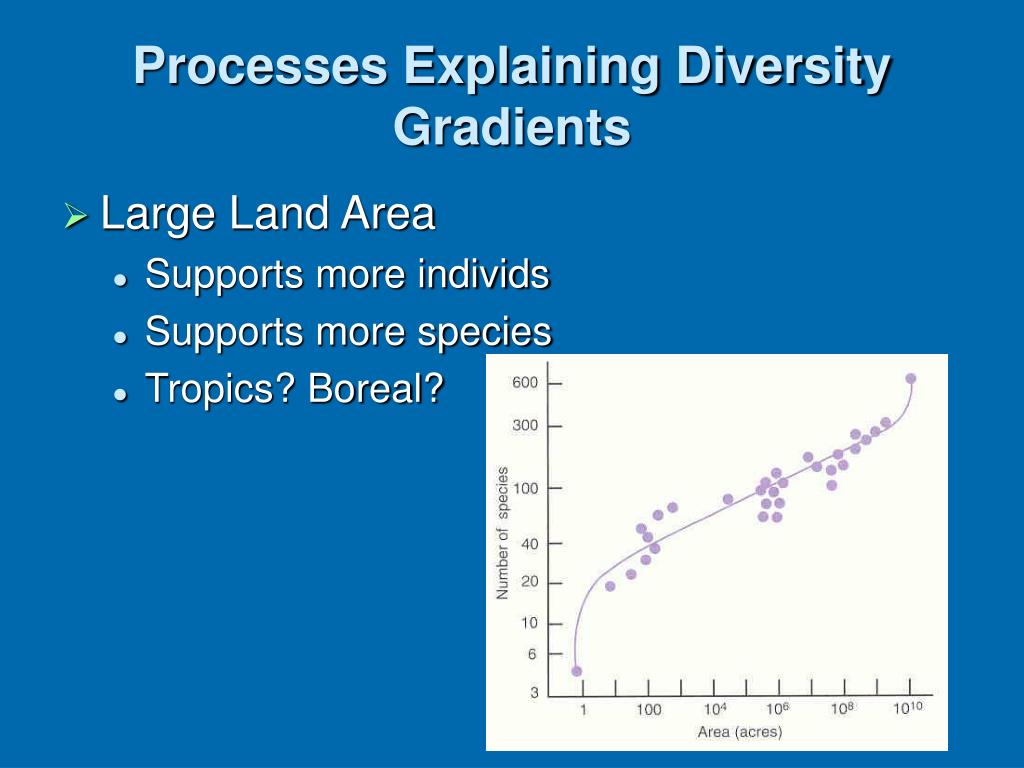 PPT Species Diversity PowerPoint Presentation, free download ID4444086