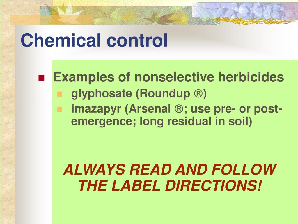 PPT What to Do About Weeds PowerPoint Presentation, free download