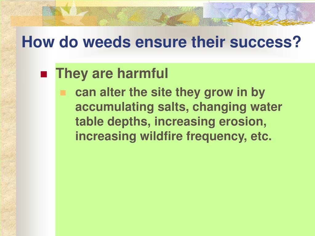 PPT What to Do About Weeds PowerPoint Presentation, free download