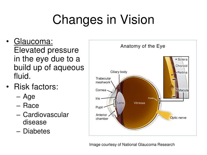 PPT Lecture 2 Biological Aging PowerPoint Presentation ID4445513