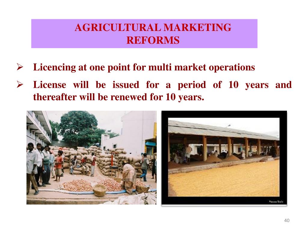 PPT Government of Karnataka Department of Agricultural Marketing