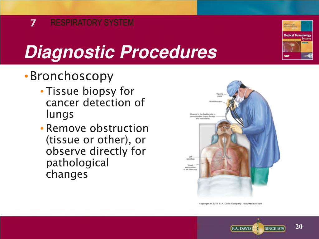 PPT Lecture Notes PowerPoint Presentation, free download ID4447745