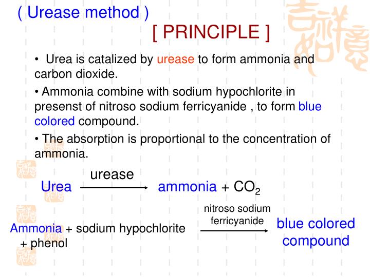 PPT Determination of Urea (BUN) in serum PowerPoint Presentation ID